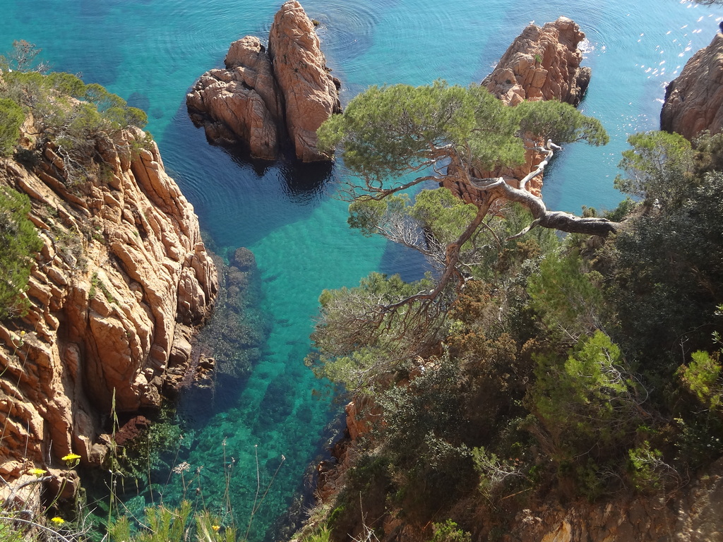 Pel Camí de Ronda