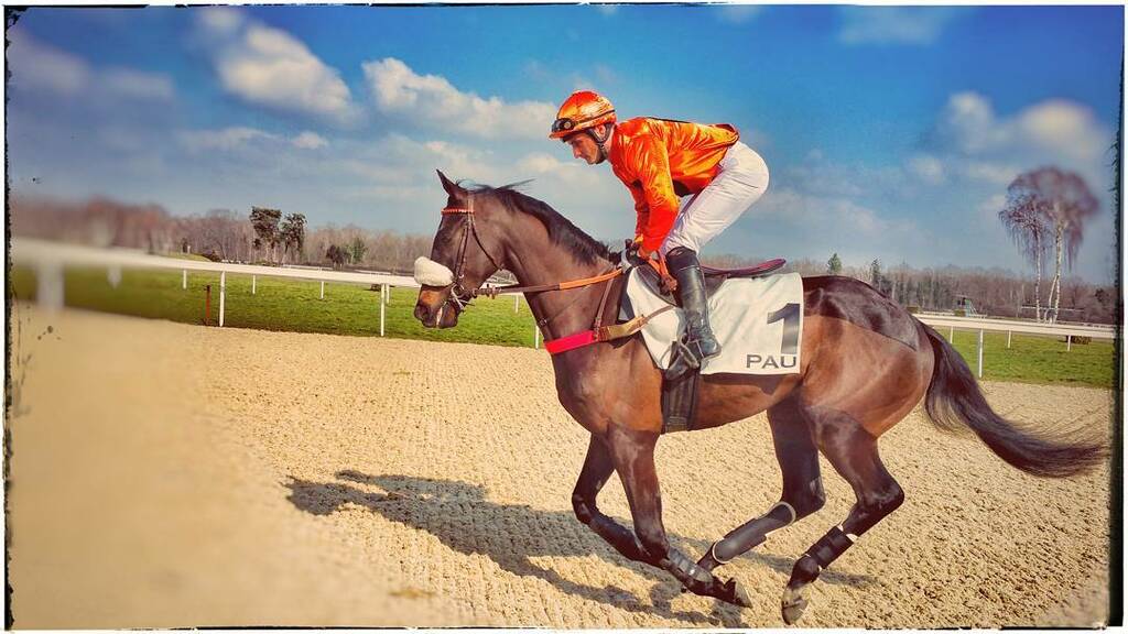 things to do in pau france | hippodrome de pau