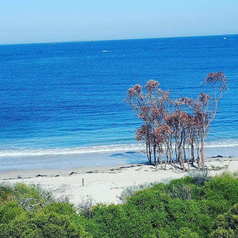 things to do in fremantle | bathers beach