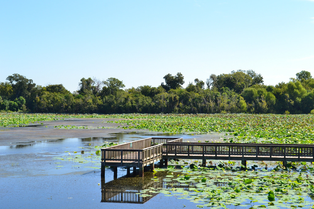 Cullinan Park
