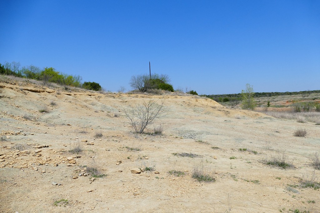 Desert landscape