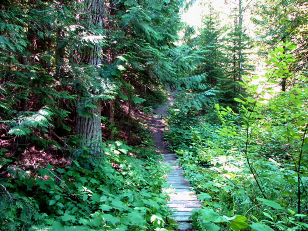 Hiking trails in Trail area