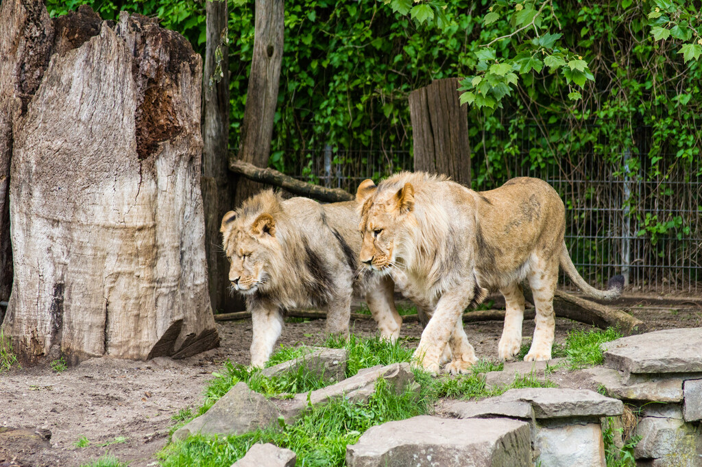 Dortmund Zoo