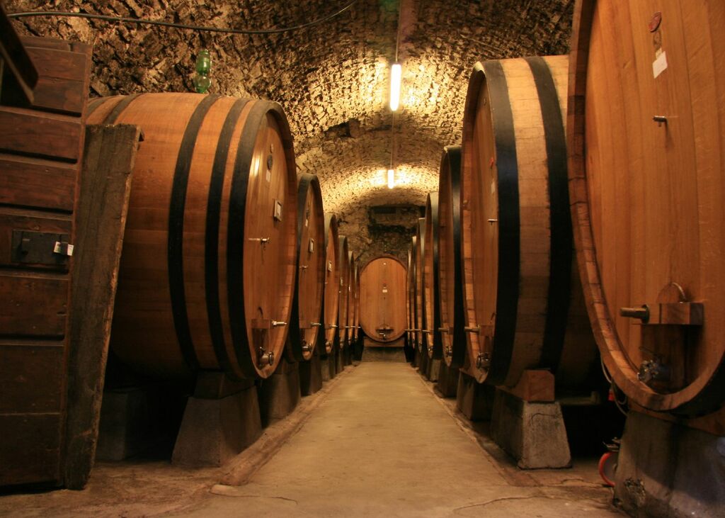 Large botti size oak barrels in Chianti