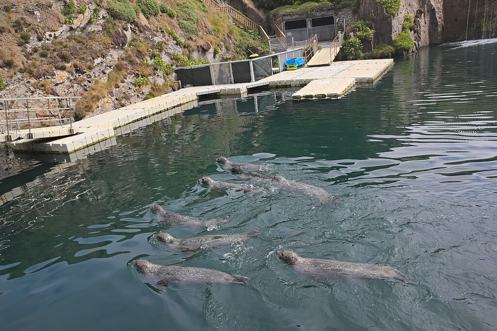 Aquarium Finisterrae  