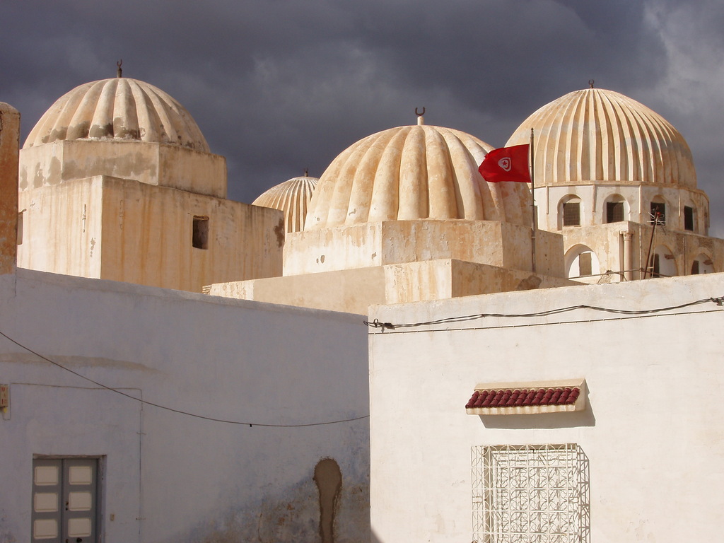 Zaouia Sidi Amor Abbada domes