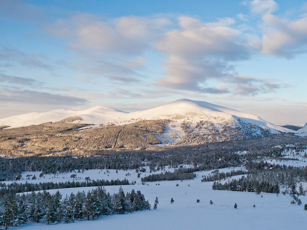 Cairngorms