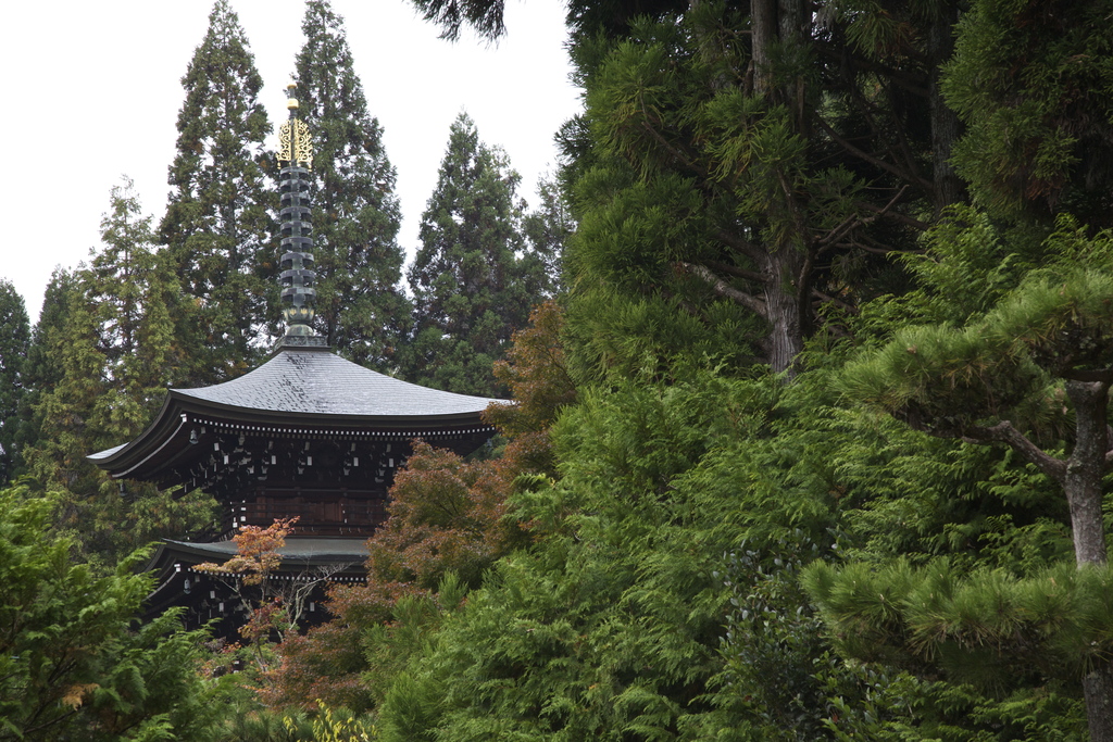 Saiho-ji, Kyoto, by Jmhullot