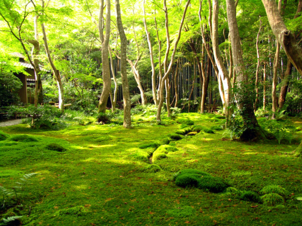 Kyotogarden