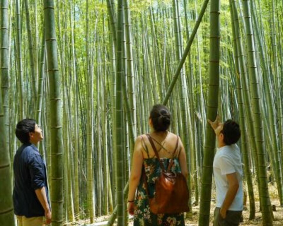 hidden gems | book a tour: fushimi inari hidden hiking tour
