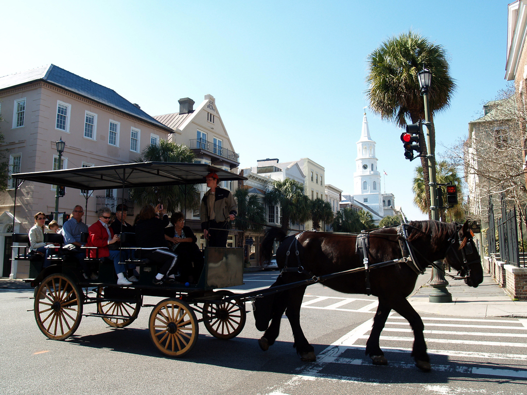 Horse-drawn carriage charleston