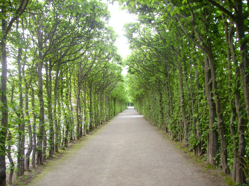 Bayreuth Eremitage Park 1