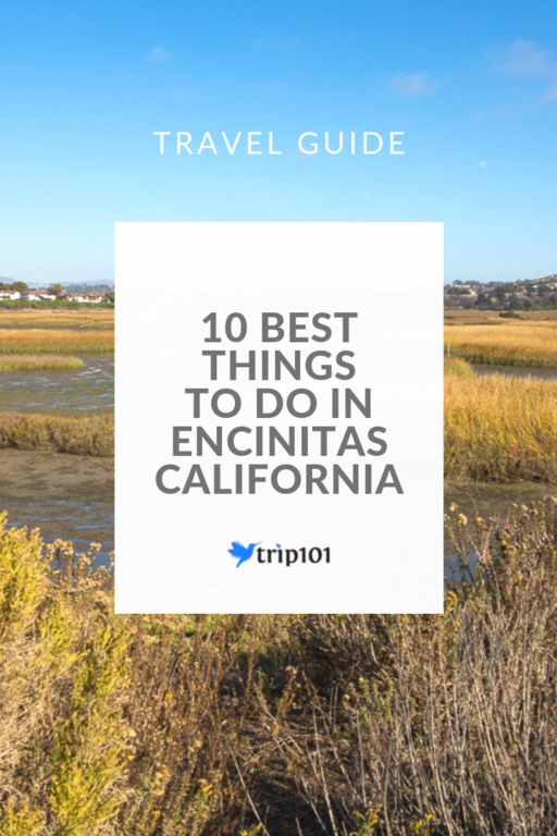 10 Best Things To Do In Encinitas, California