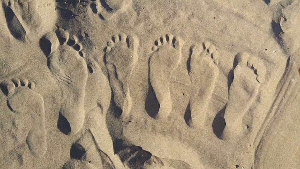 Sandy Feet Sand Castle Lessons