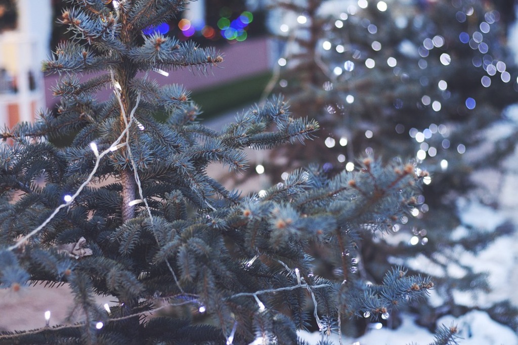 Christmas lights