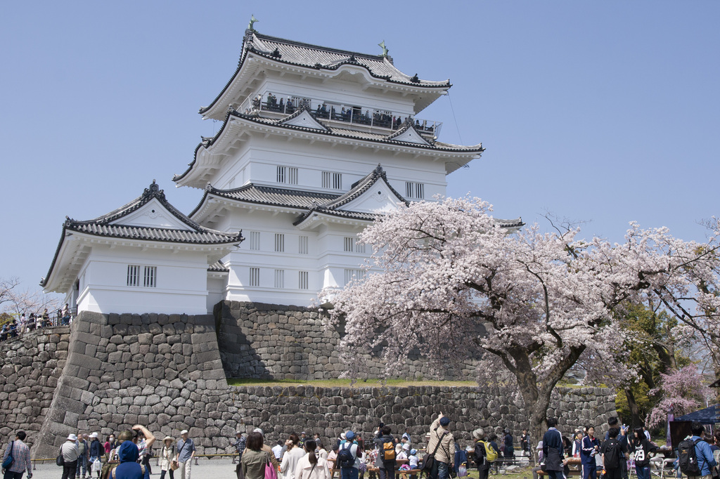 Odawara Castle 02