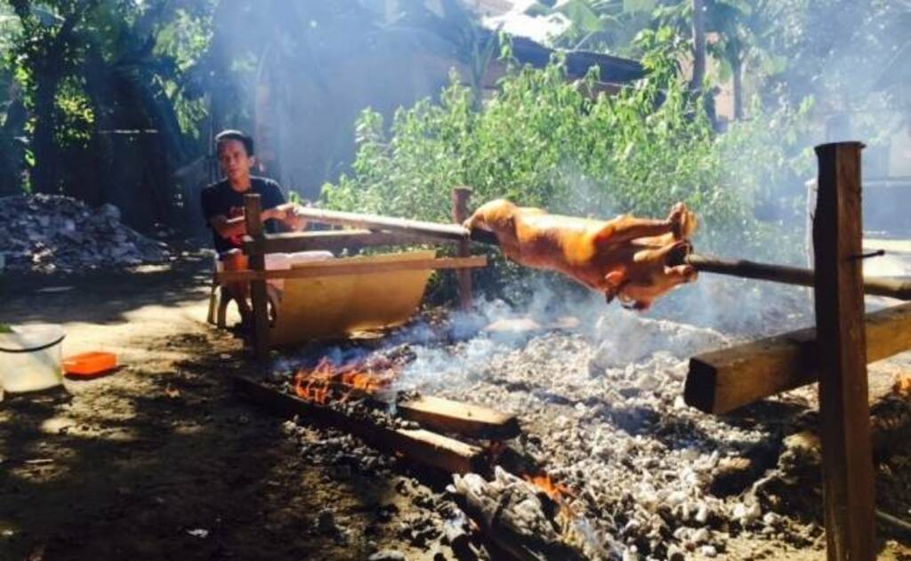top 10 des incontournables à cebu pour les nouveaux visiteurs | mangez lechon dans une ferme locale