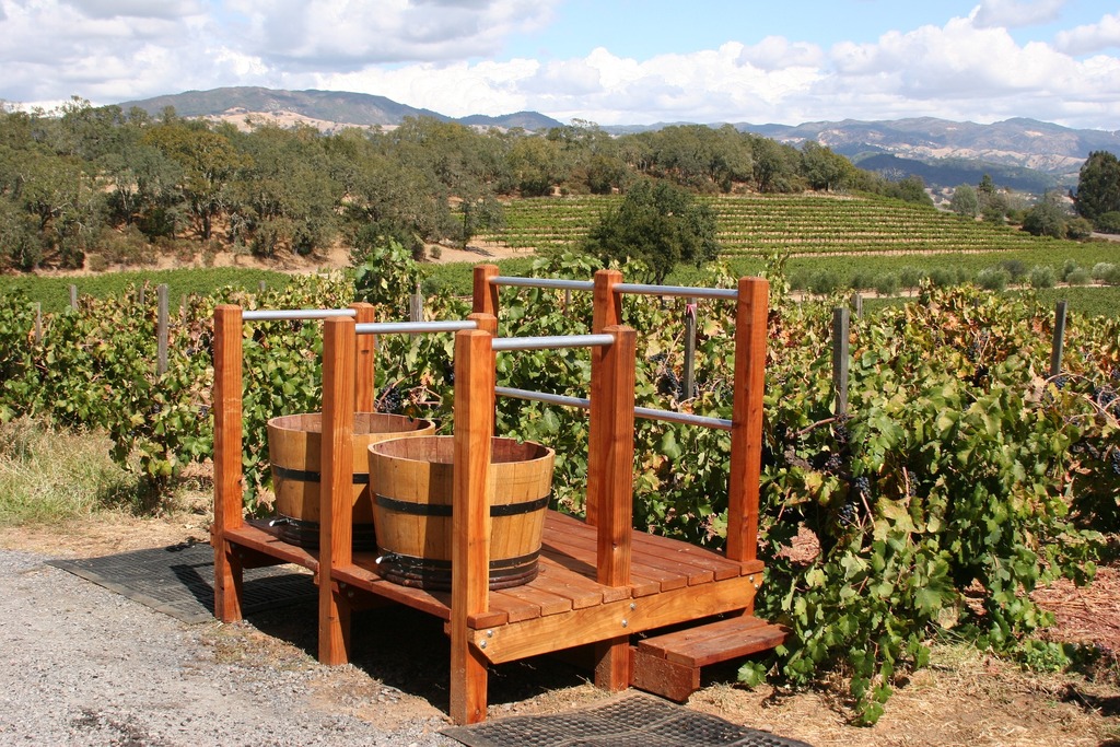 Vineyards
