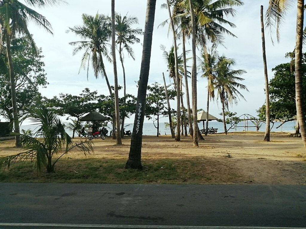 Ilocos north