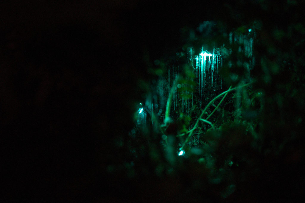 Beautiful light display