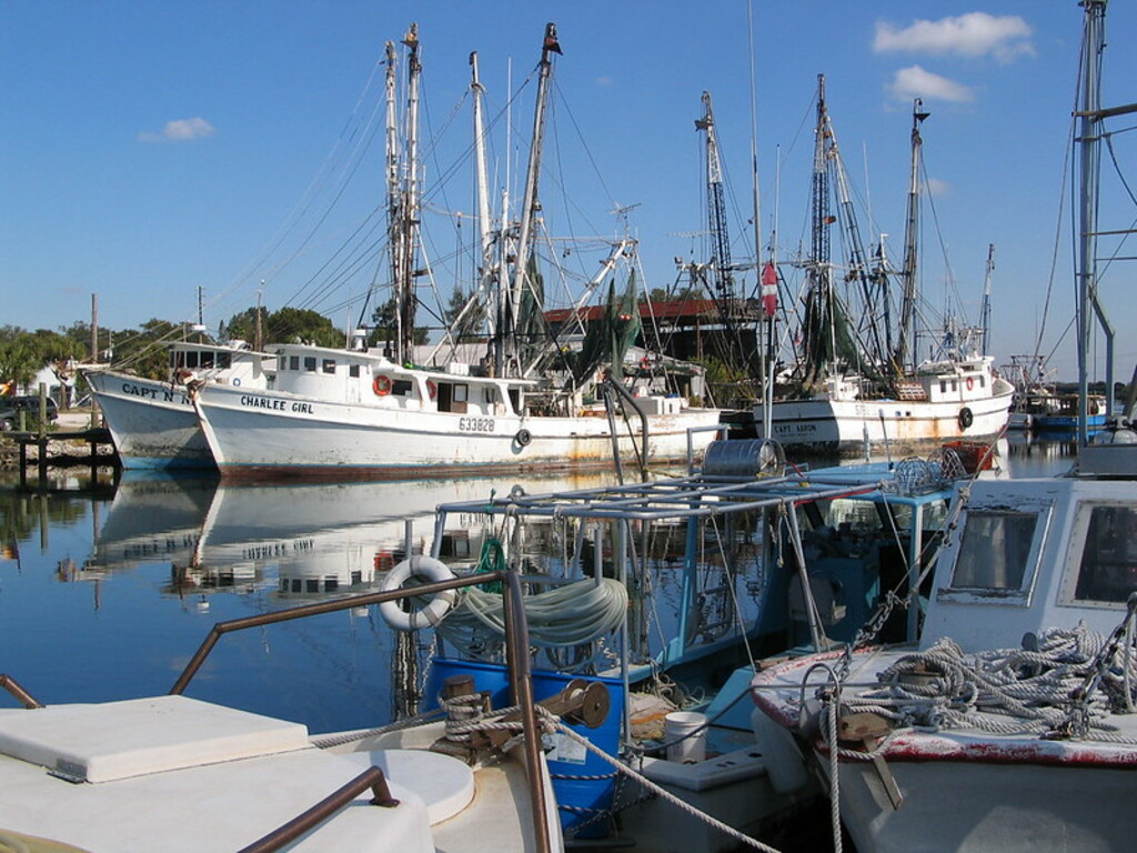 Tarpon Springs Sponge Docks