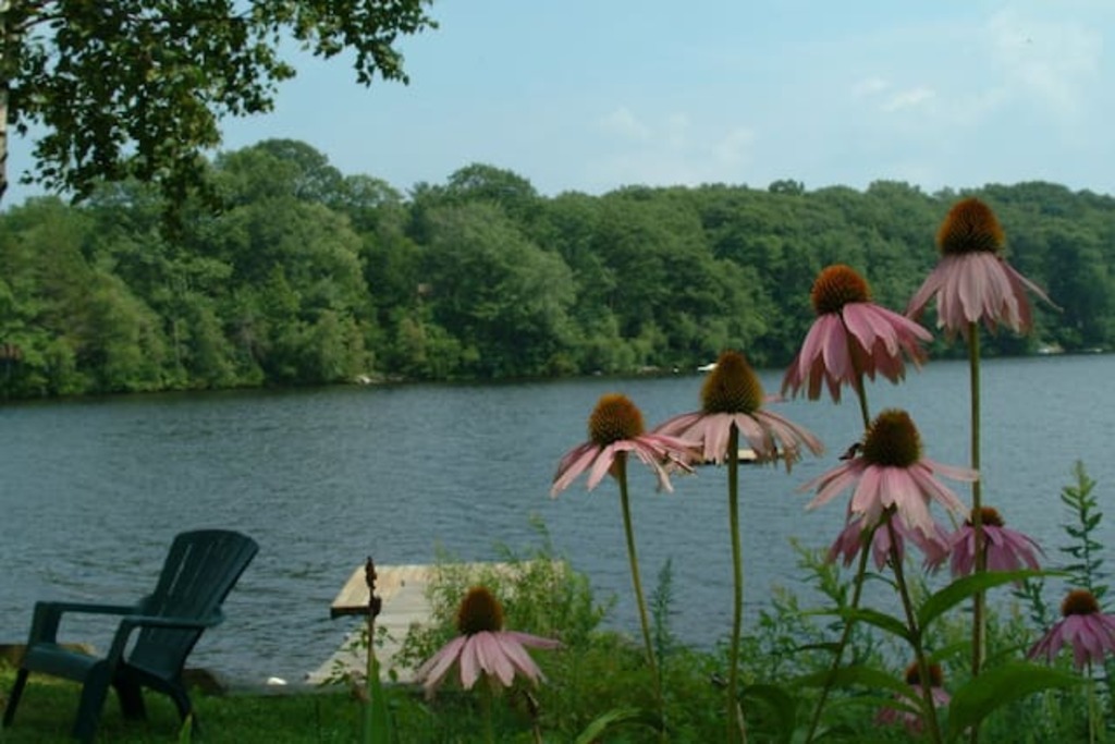 Top 13 Airbnb Vacation Rentals In And Around Ellington, Connecticut