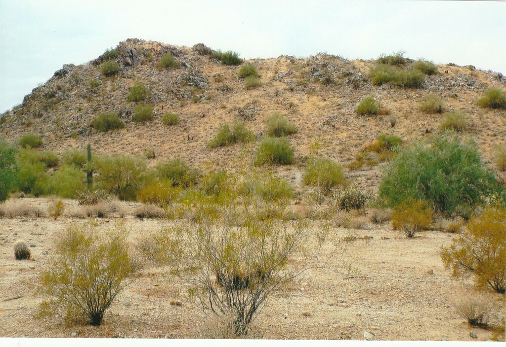Queen Creek-SanTan Regional Park-(A) Gold Mountain-1