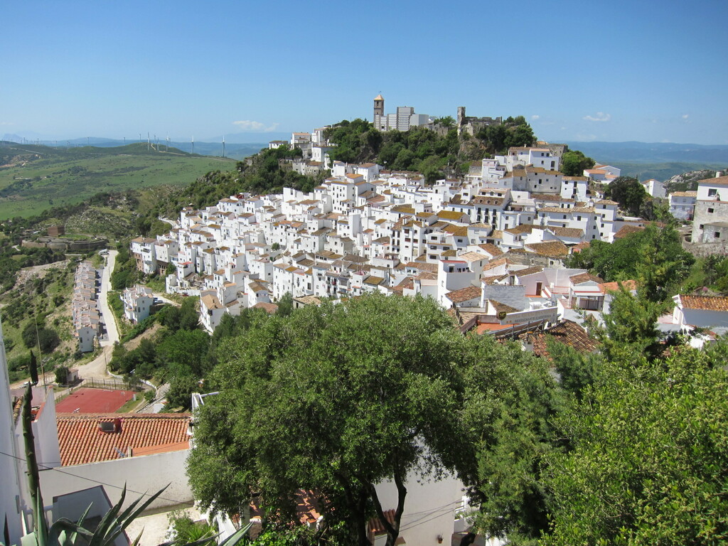 Casares vista