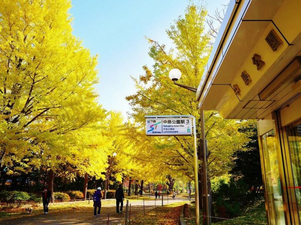 Nakajima Park