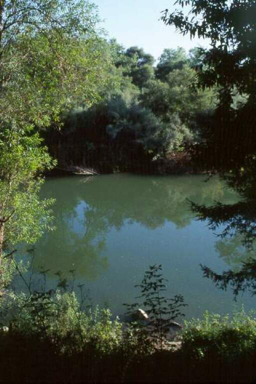 Russian River