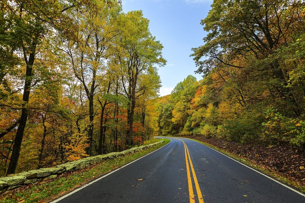 Skyline Drive in the Fall (21852619608)