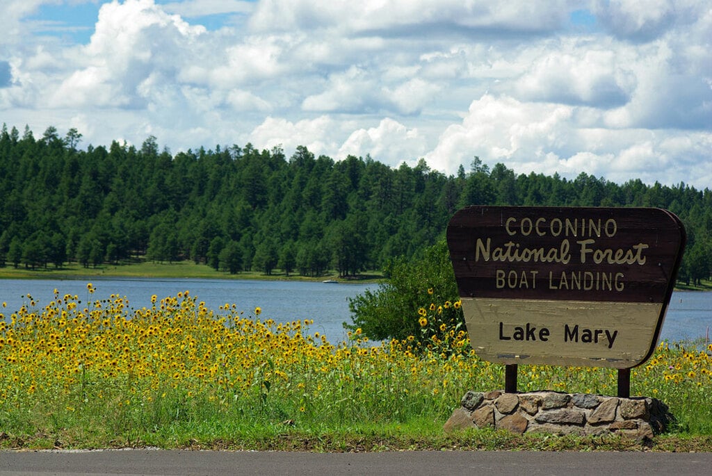 Lake Mary