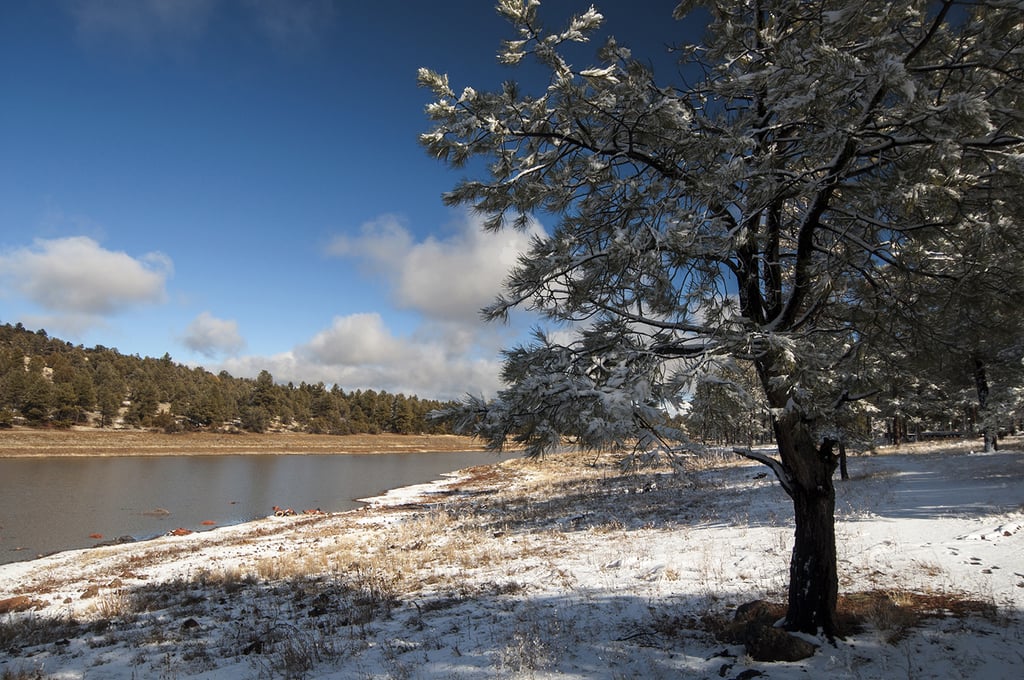 Fallen snow on Kaibab Lake. (15655745333)