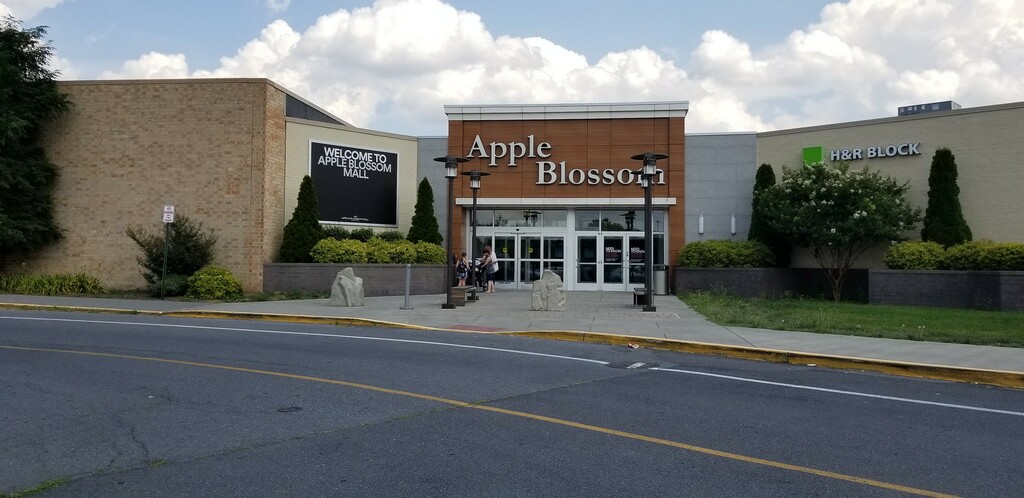 Apple Blossom Mall Winchester, VA July 2020