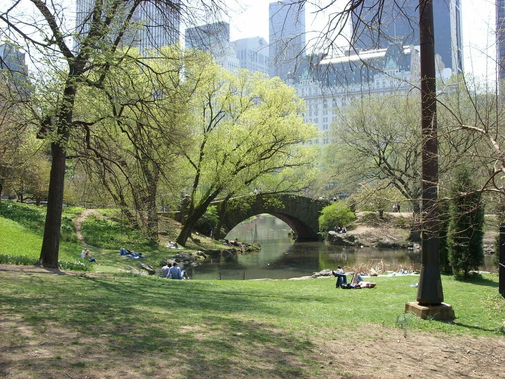 Central Park - Manhattan, New York