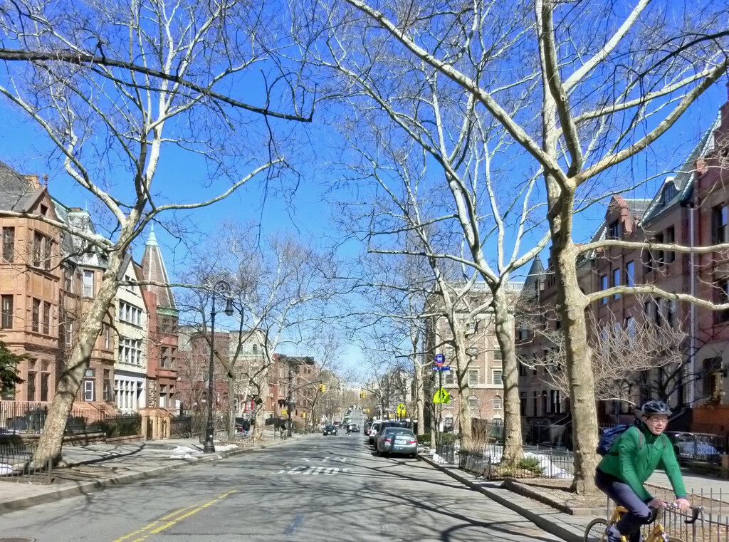 Hamilton Heights