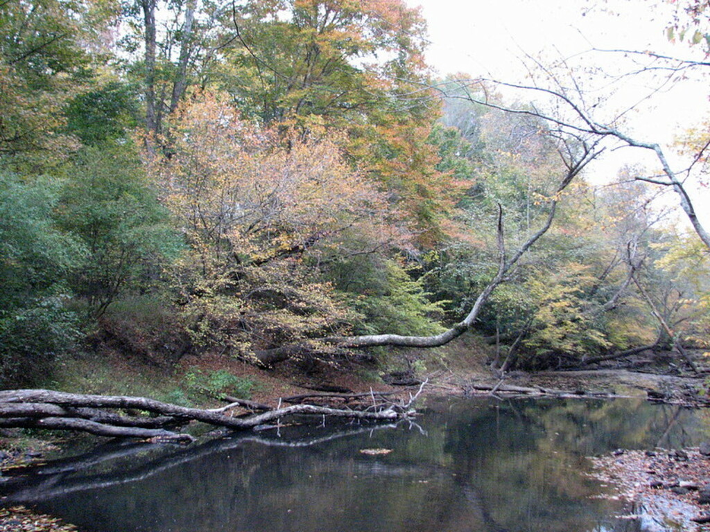 Autumn Colors Medoc Mt SP NC 3425