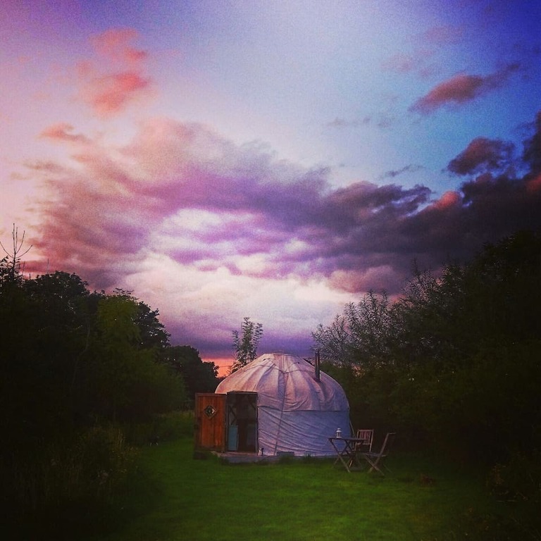 The Rose at sunset