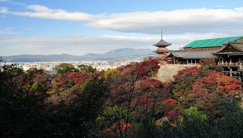 Kyoto Skyline and Fall Colors