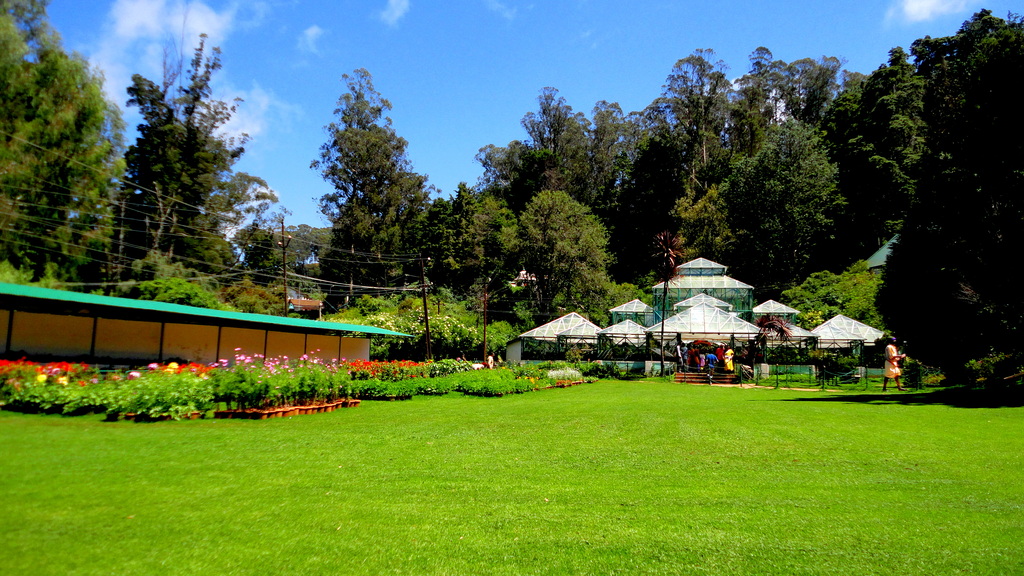 Government Botanical Garden,OOTY ,TAMIL NADU ,INDIA