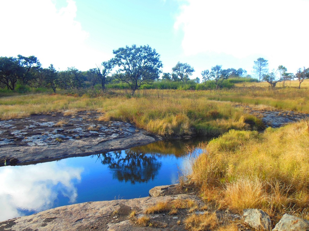 Phawngpui national park