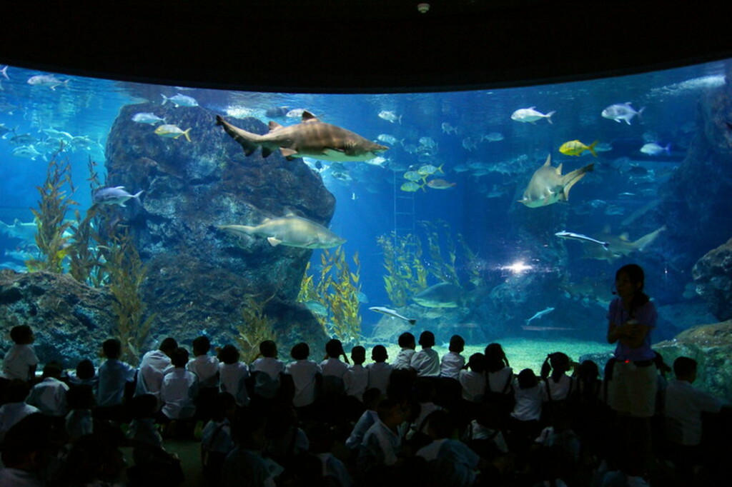 2009-08-28 08-30 Bangkok 042 Siam Center, Siam Ocean World