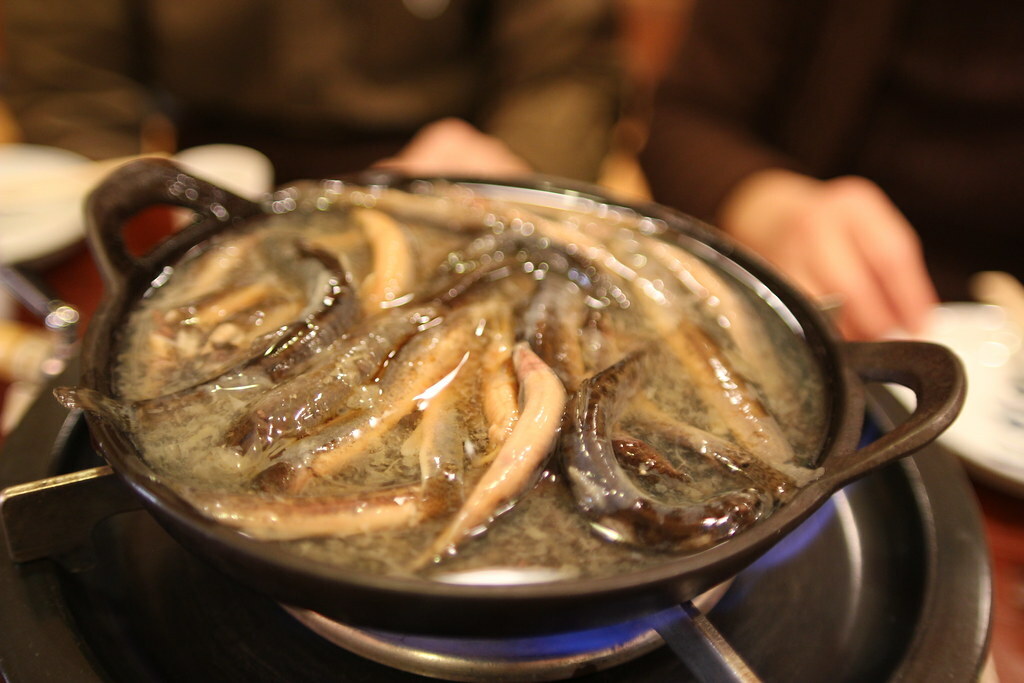 Dojo nabe (Loach pot)