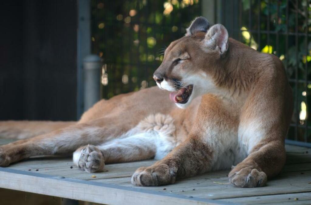 Yagiyama Zoological Park