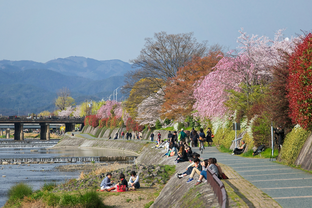 Kamogawa River