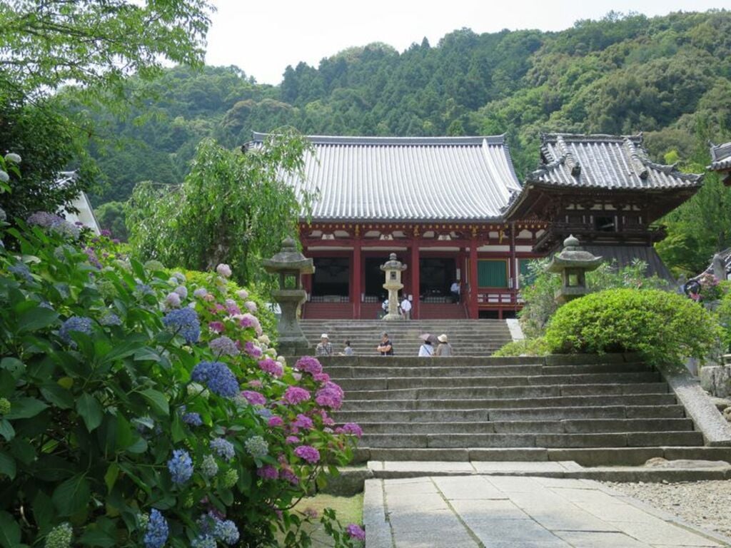 Wander through the 10,000 hydrangeas of Yatadera Temple