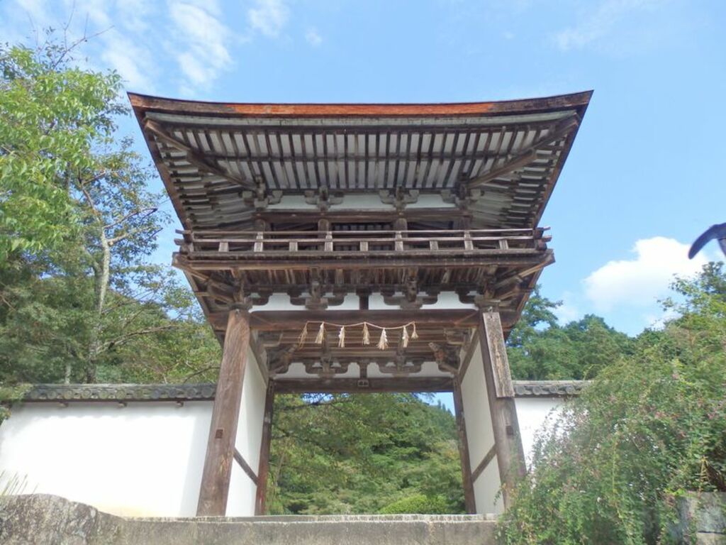 Snap photos of the spectacular azaleas at Chogakuji Temple