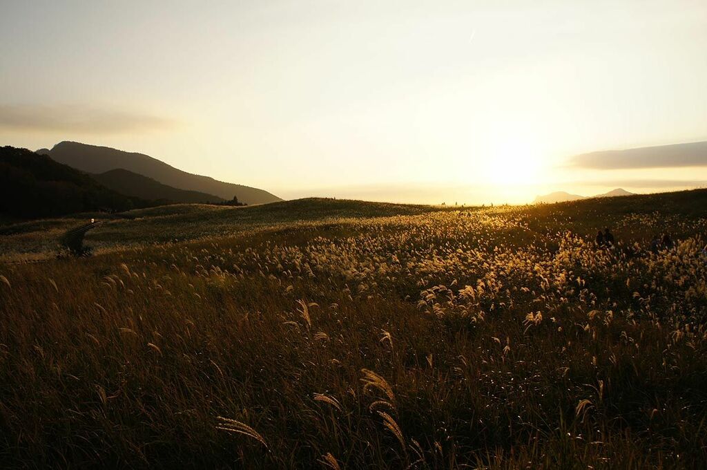 Run through the golden grasslands of Soni Kogen