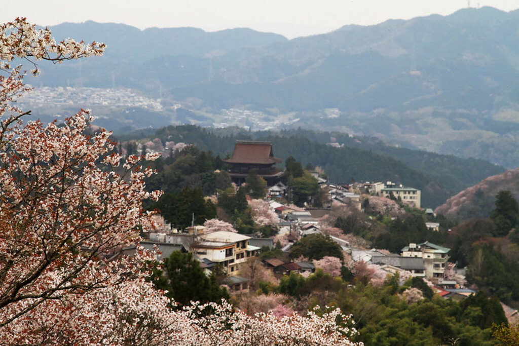 From Mount Yoshino