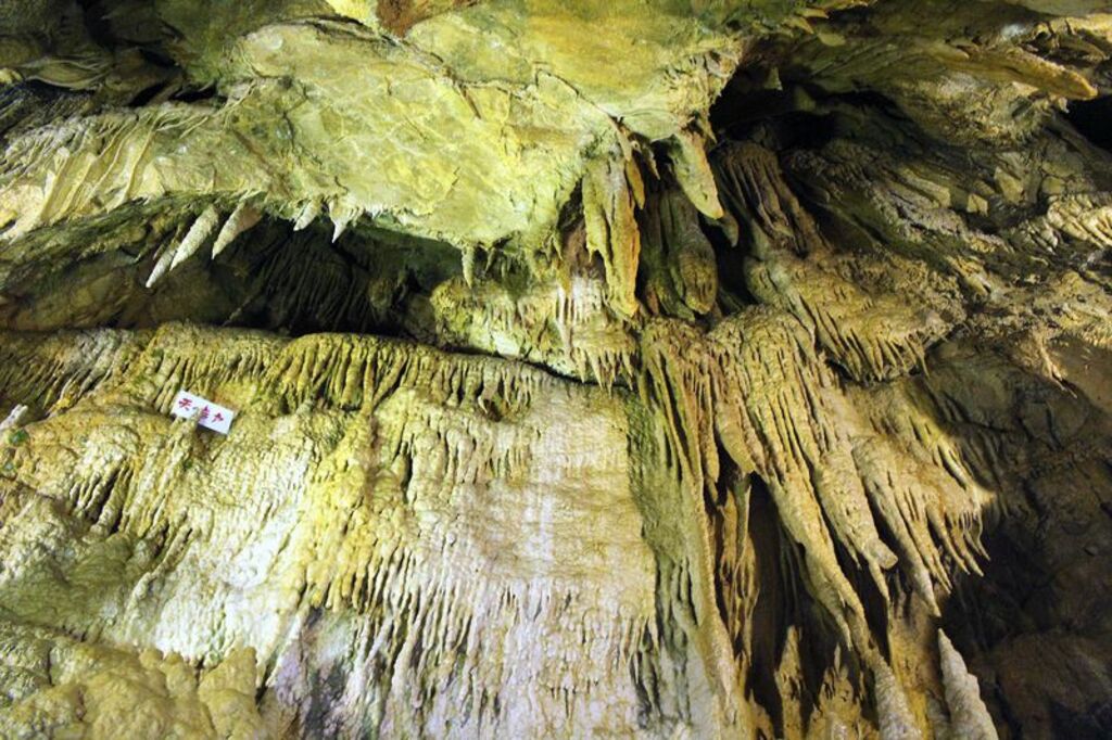 Discover the fascinating Otaki limestone caves